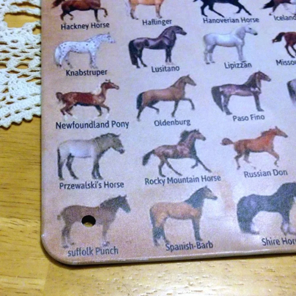 Equine types, sign showing different horse breeds